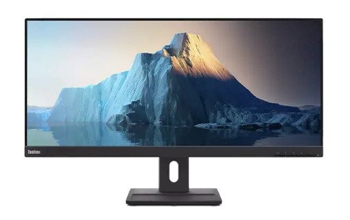 Buy Lenovo ThinkVision E29w-20 29-inch WFHD LED Backlit LCD Monitor ...
