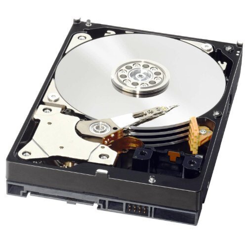 Buy WD Re Datacenter Internal Hard Drive 500GB online in Pakistan